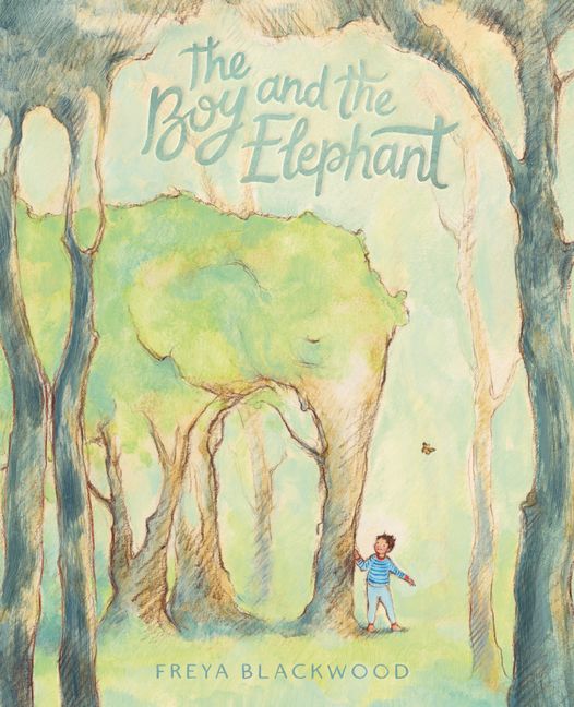 The boy and the elephant